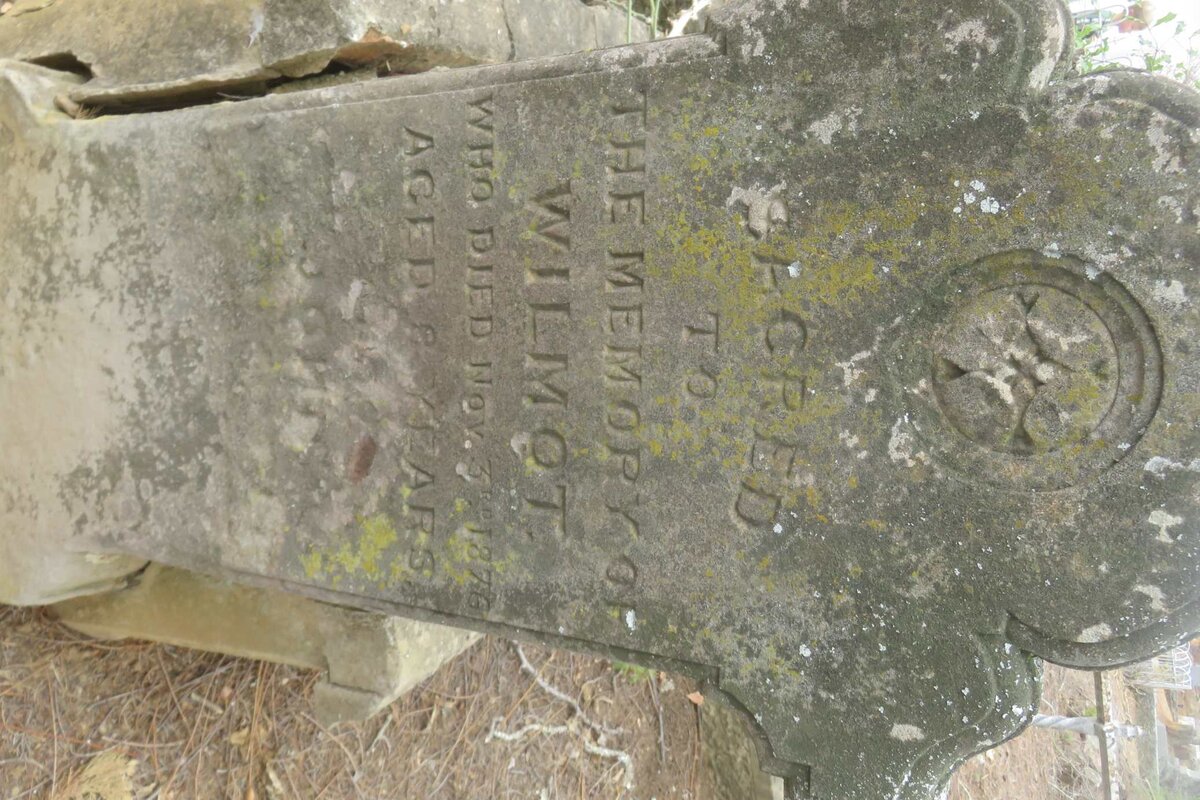 GARDNER Wilmot - 1876