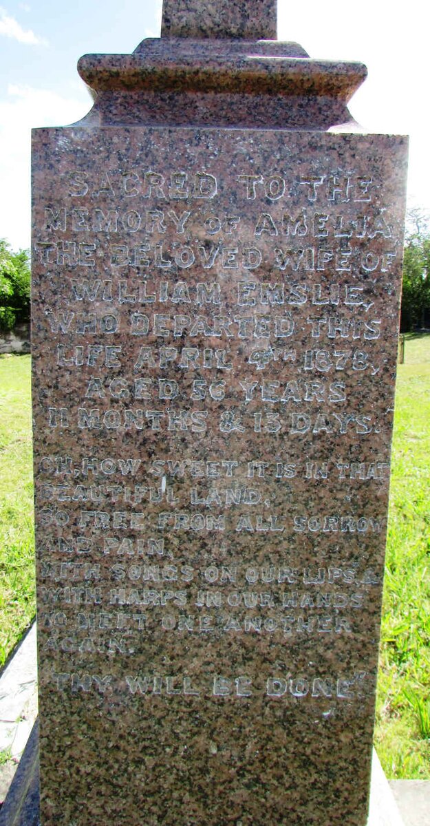 EMSLIE Amelia -1878