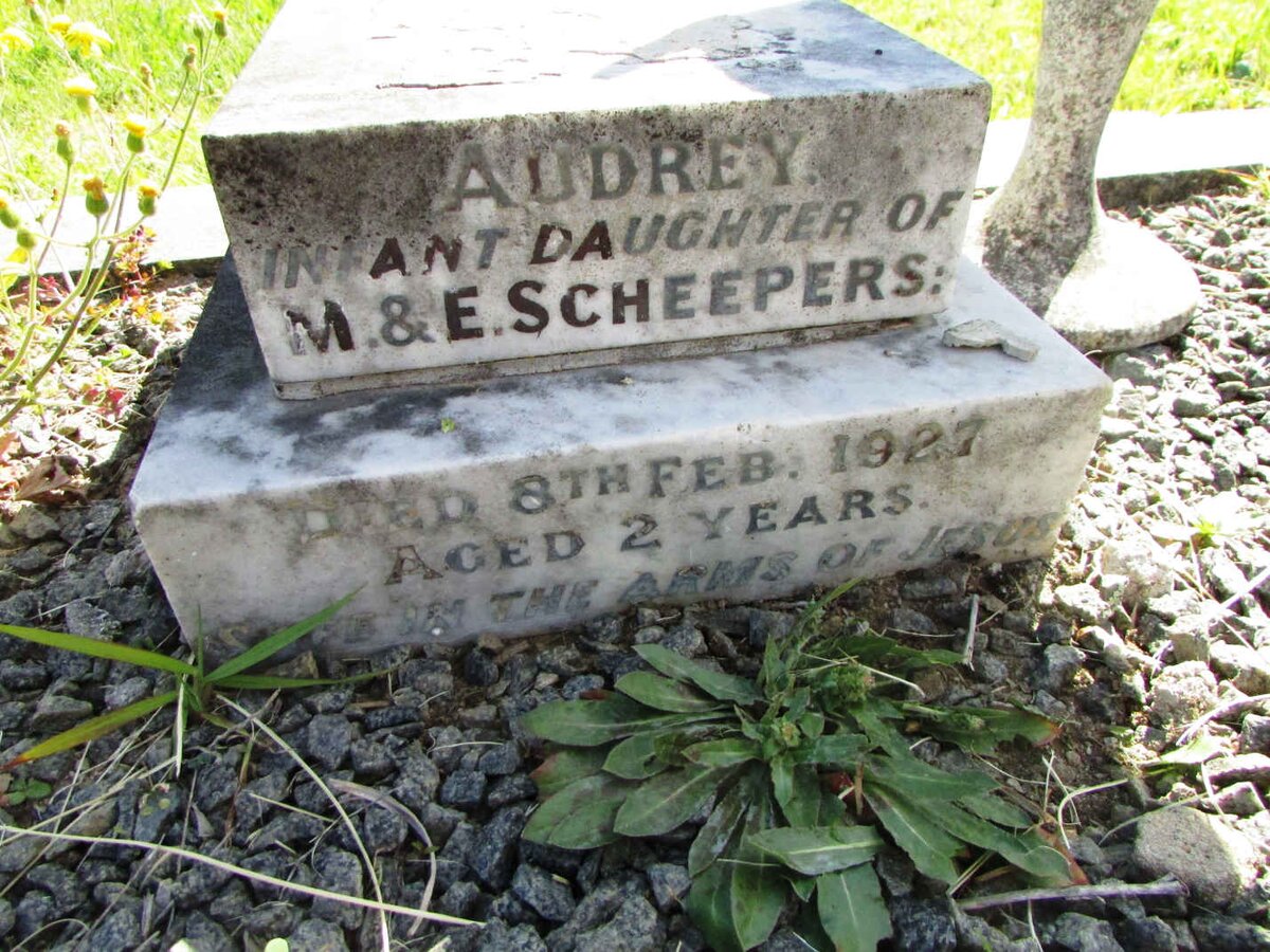 SCHEEPERS Audrey -1927