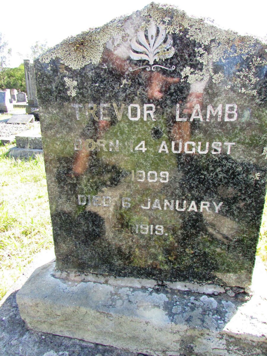 LAMB Trevor 1909-1919