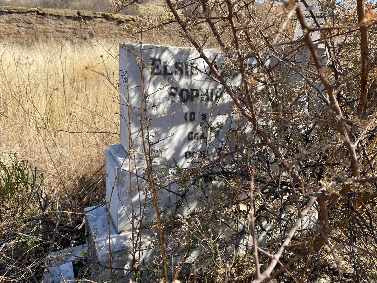 NEL Elsie Alettha Sophia 1826-1917