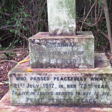 REED Susannah -1917