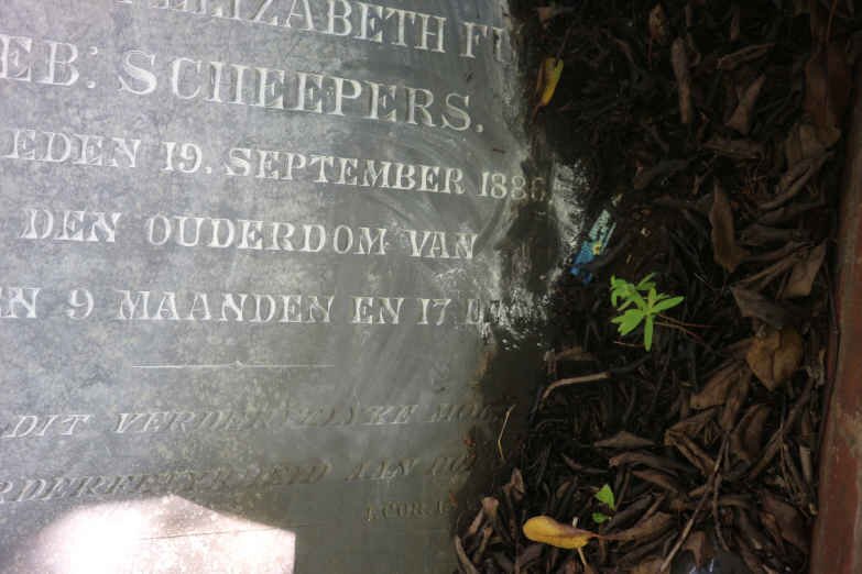 FULLER Jacoba Elizabeth nee SCHEEPERS -1886