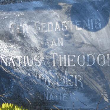MULLER Ignatius Theodorus