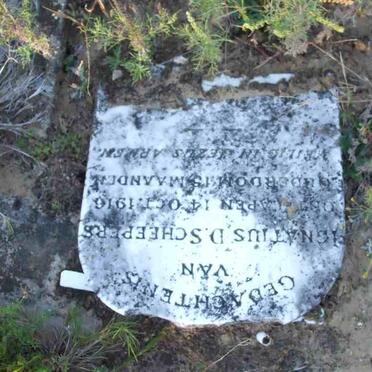 SCHEEPERS Ignatius D. -1916