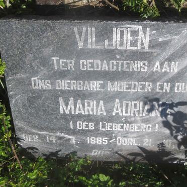 VILJOEN Maria Adriana nee LIEBENBERG 1865-