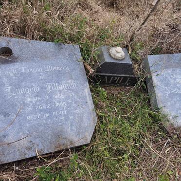 XAPILE Lungelo Mlameh 1951-1986 & Nonthanda Yohsa 1941-1986