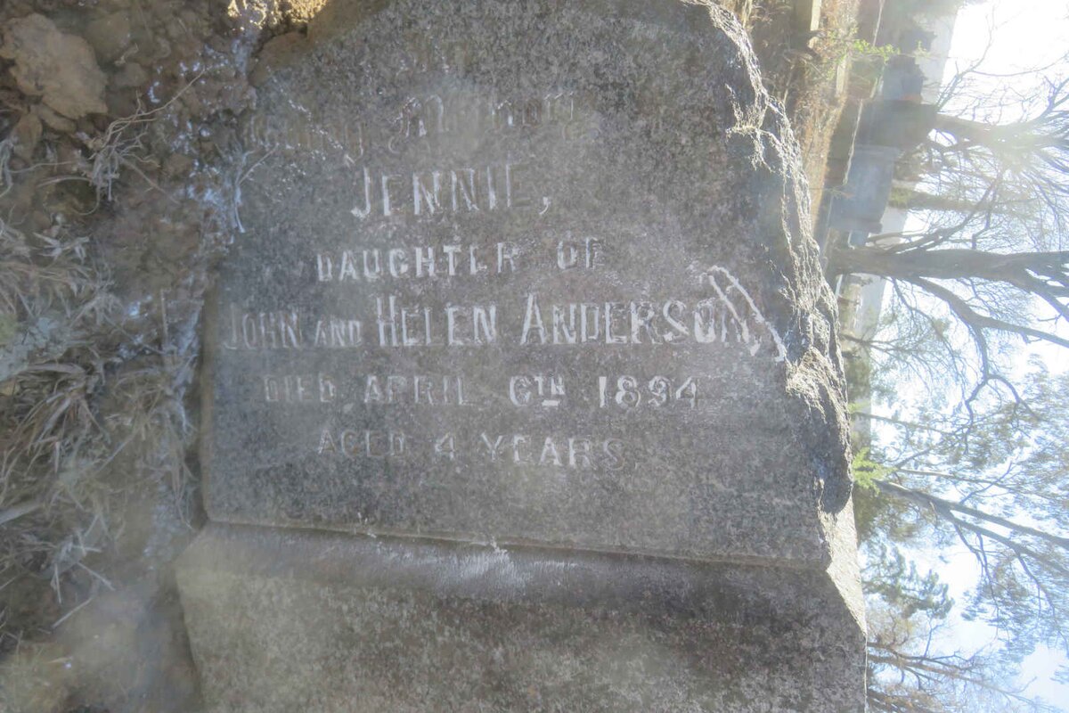 ANDERSON Jennie -1894