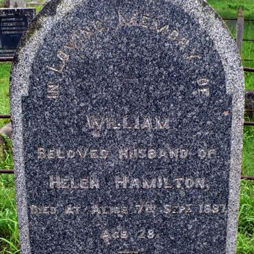 HAMILTON William -1887