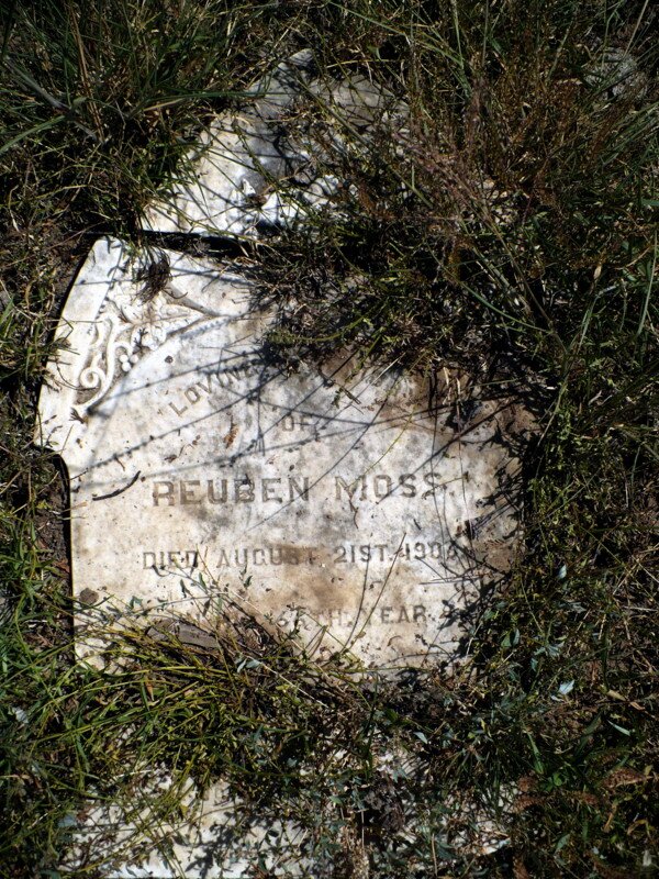 MOSS Reuben -1906