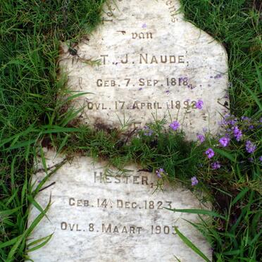 N - Vanne :: Surnames - N