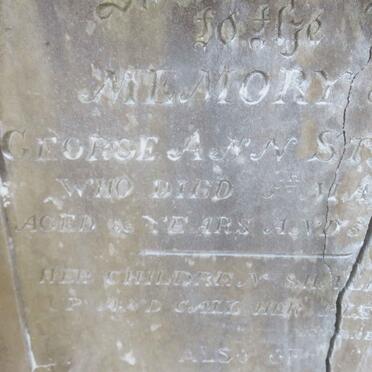 STEWART George Ann -1877 :: STEWART Eliza Kirby -1919