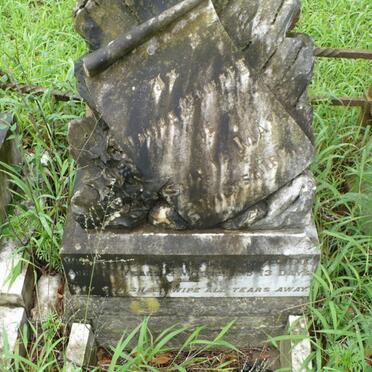 WILTSHIRE Sylvia May -1902