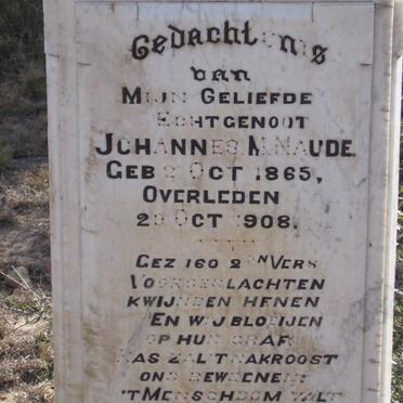 NAUDÉ Johannes Mattheus 1865-1908