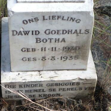 BOTHA Dawid Goedhals 1930-1935