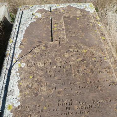 CONNOR Bridget nee BAILEY -1893 :: CONNOR John 1893-1894