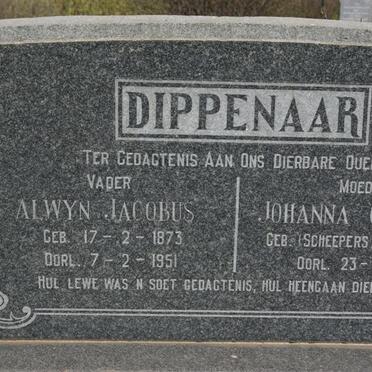 DIPPENAAR Alwyn Jacobus 1873-1951 &amp; Johanna Cathrina SCHEEPERS 1873-1951