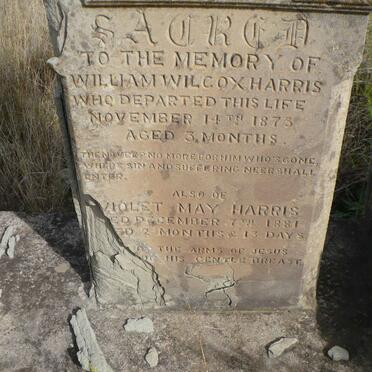 HARRIS William Wilcox -1873 :: HARRIS Violet May -1881