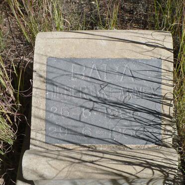 KEARNEY Hiebert 1966-1966