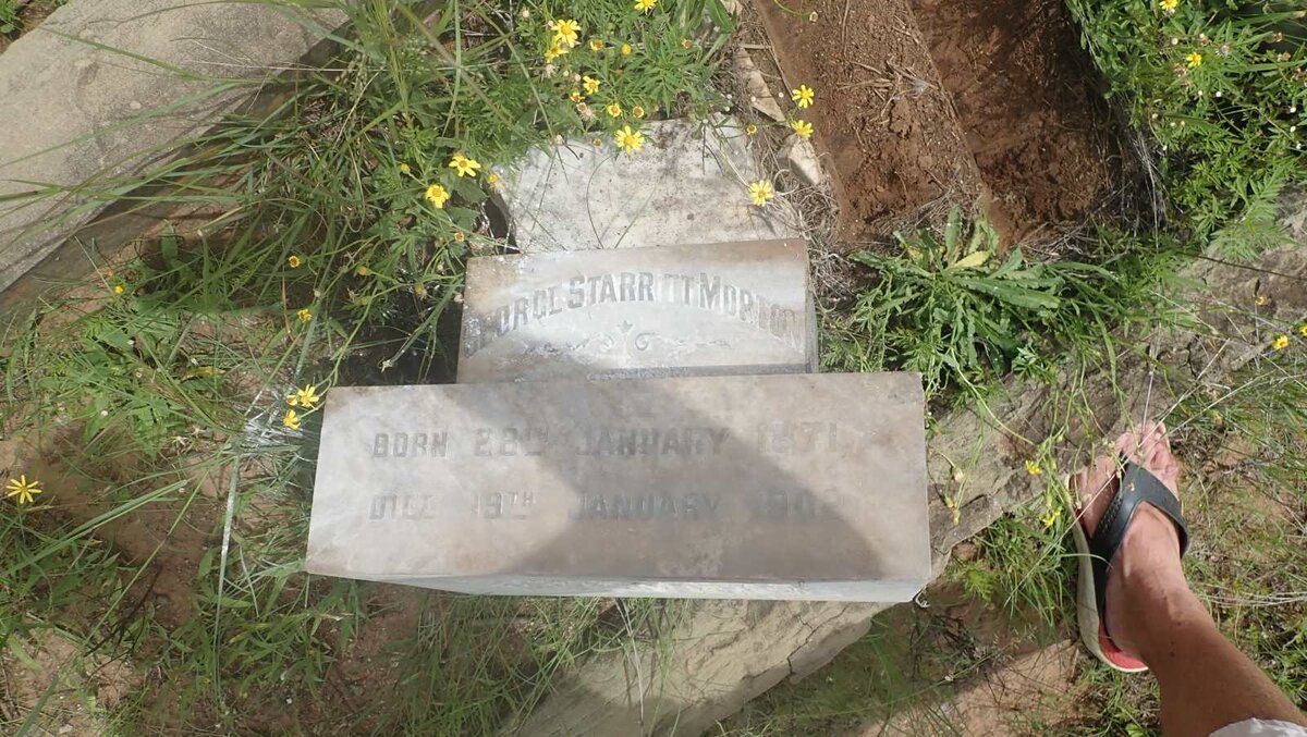 MORTON George Starritt 1871-1902