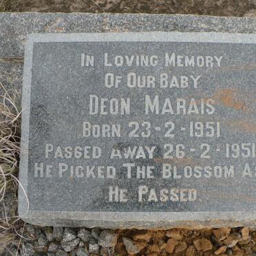 MARAIS Deon 1951-1951