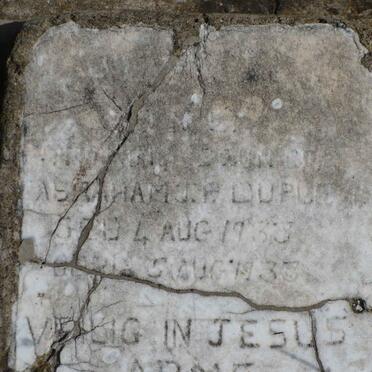 PLESSIS Abraham J.P., du 1933-1933