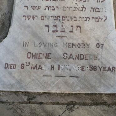 SANDERS Chiene -1917