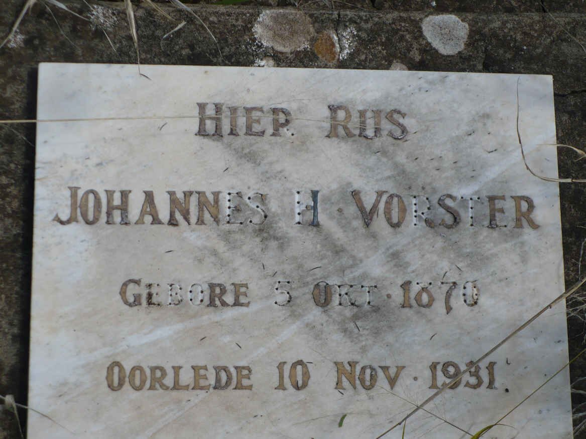 VORSTER Johannes H. 1870-1931