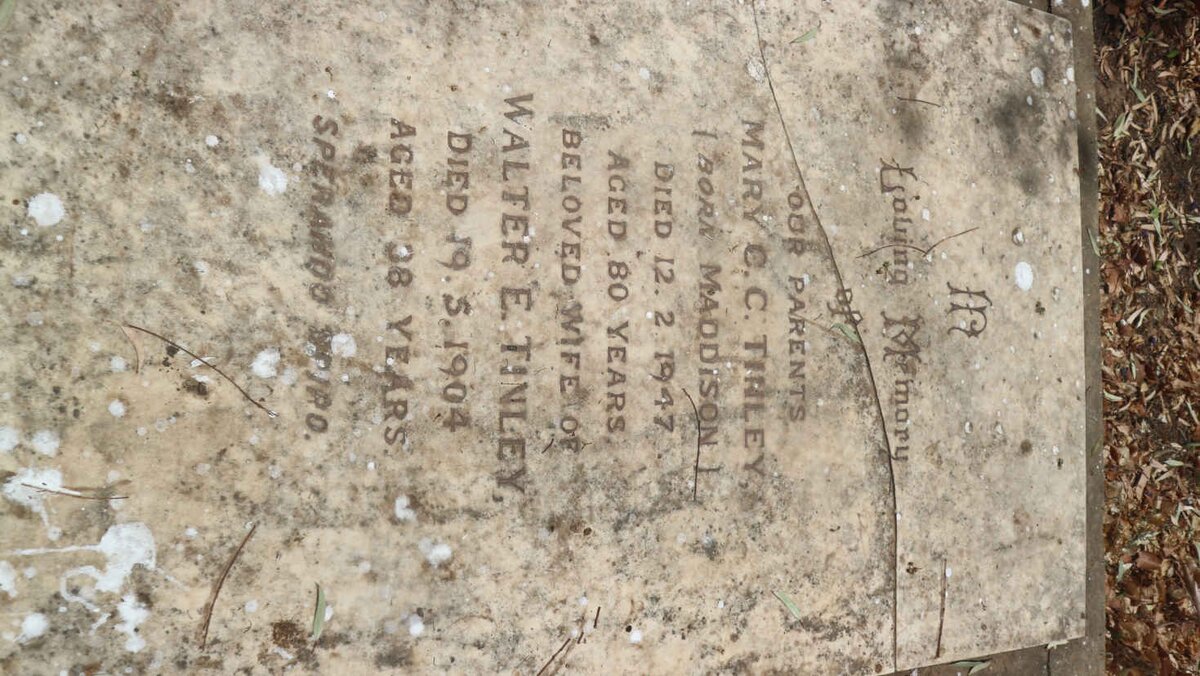 TINLEY Walter E. -1904 &amp; Mary C.C. MADDISON -1947