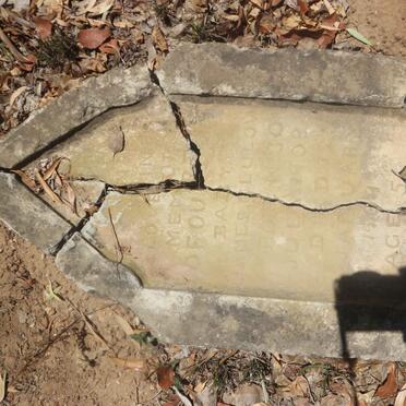 CLULOW James 1908-1909