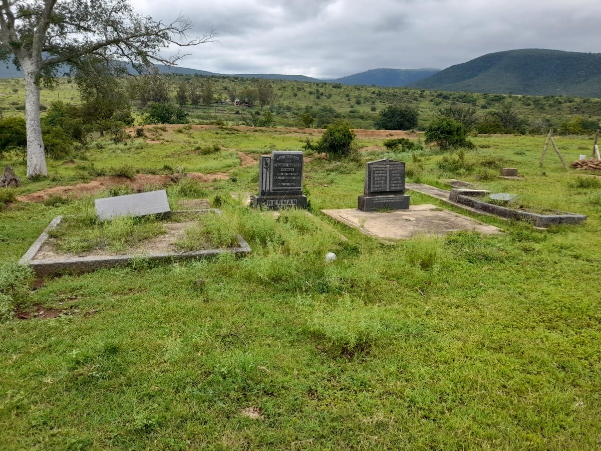 3. Overview / Oorsig