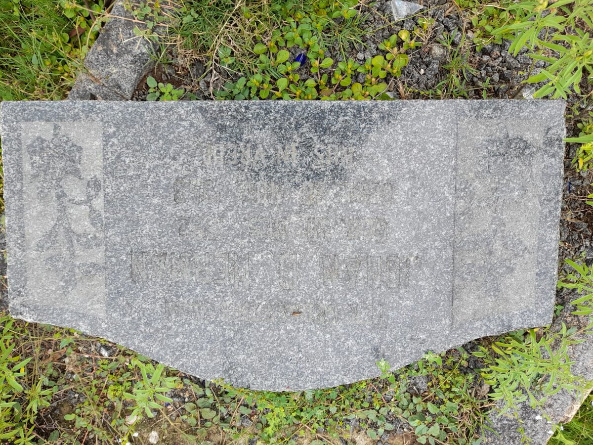 HERMAN Johan Daniel 1882-1953