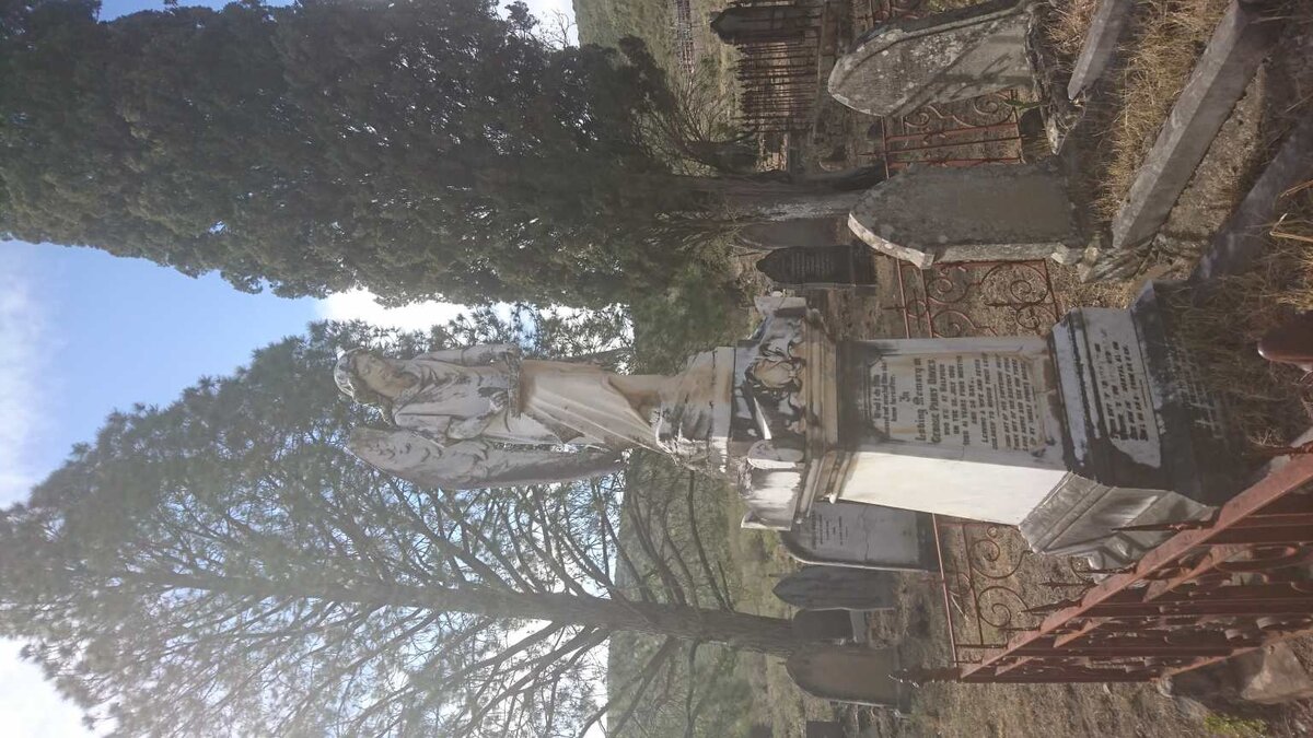 DAVIES George Parry -1902