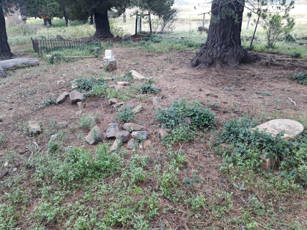 1. Overview / Oorsig