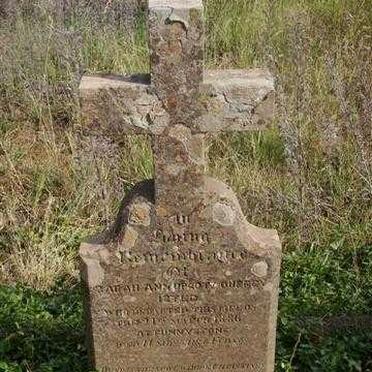 ISTED Sarah Ann Upcott Durrey -1886