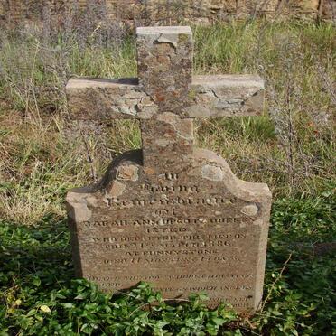 ISTED Sarah Ann Upcott Durrey -1886