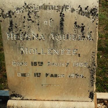 MOLLENTZE Helena Aquilla 1903-1934