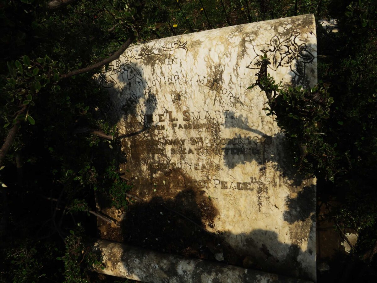 SMART Annie L. nee PASSMORE -1915