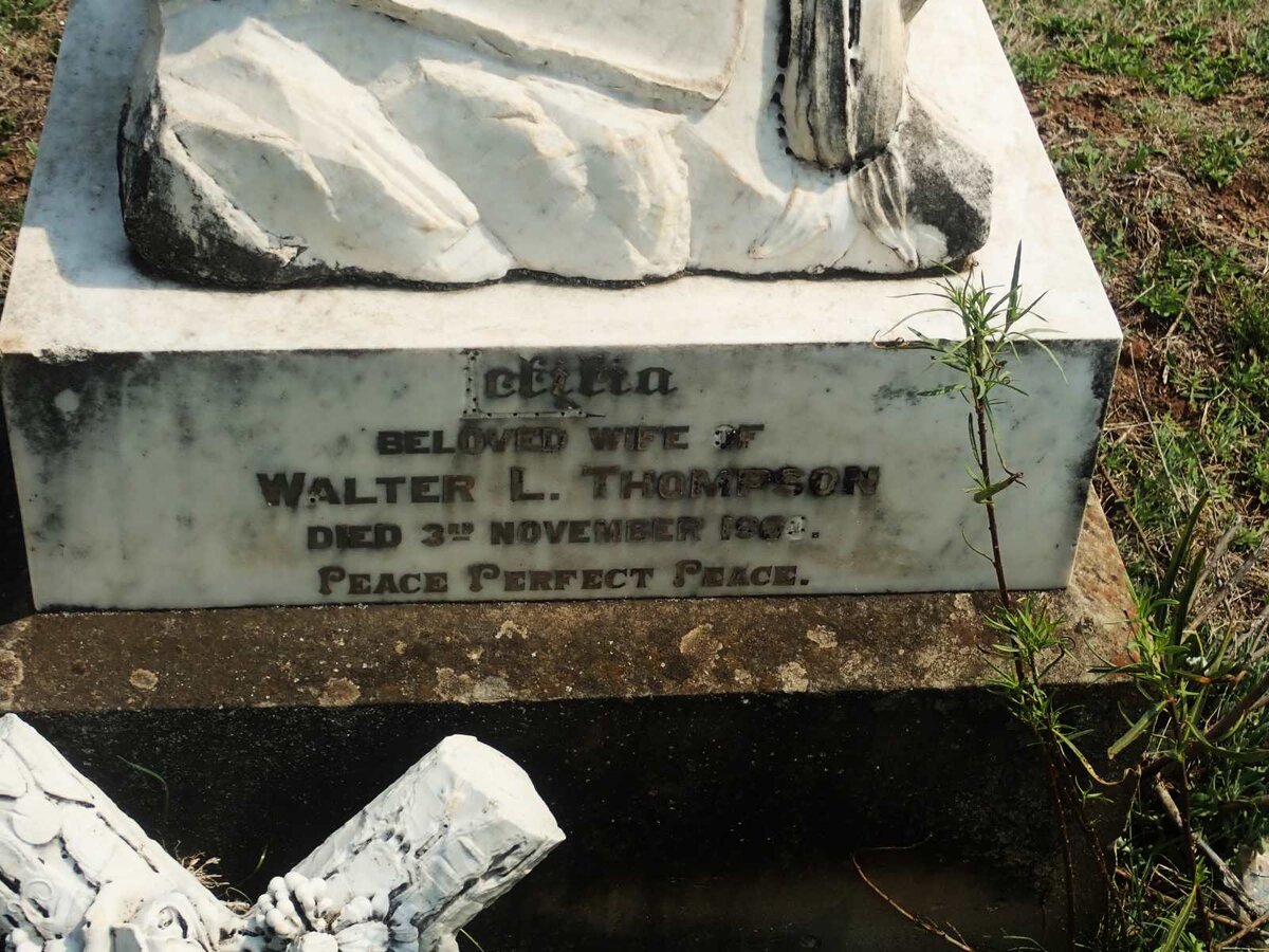 THOMPSON Cillia -1900