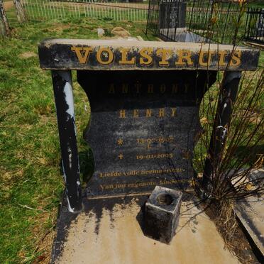 VOLSTRUIS Henry 1967-2005