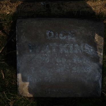 WATKINS Dice 1915-2005