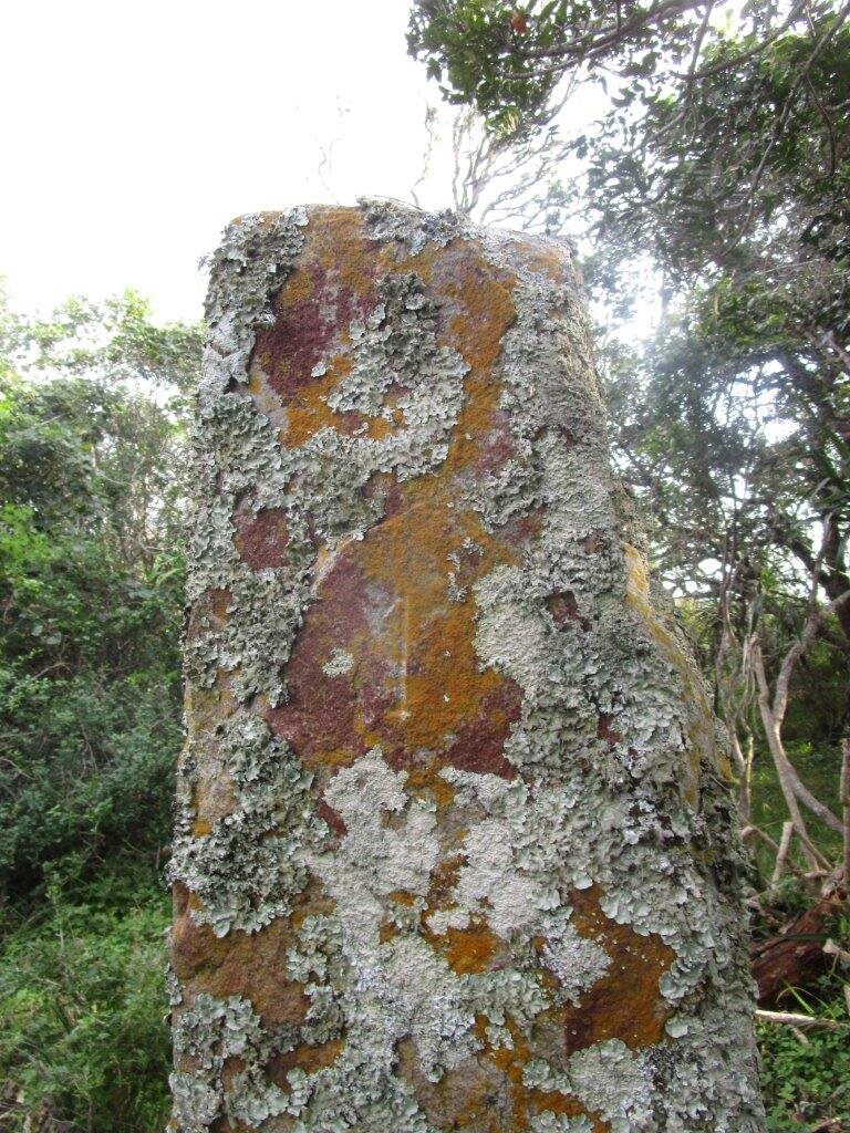 Stone No 1 - BOWKER Miles 1756-1838