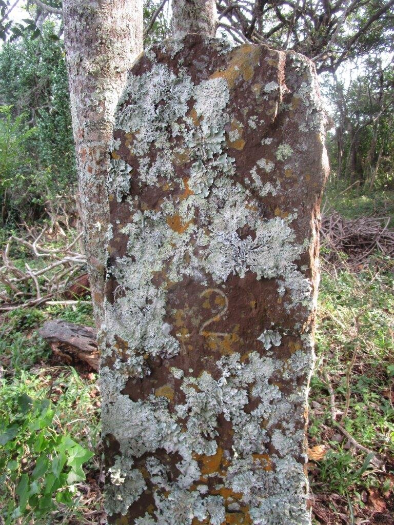 Stone No 2 - BOWKER Maria Ann nee MITFORD 1782-1868