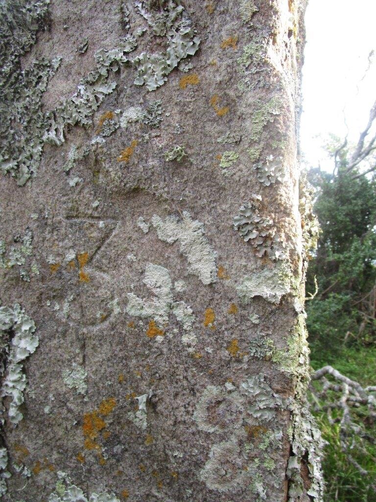 Stone No 3 - BOWKER Thomas Holden 1806-1885