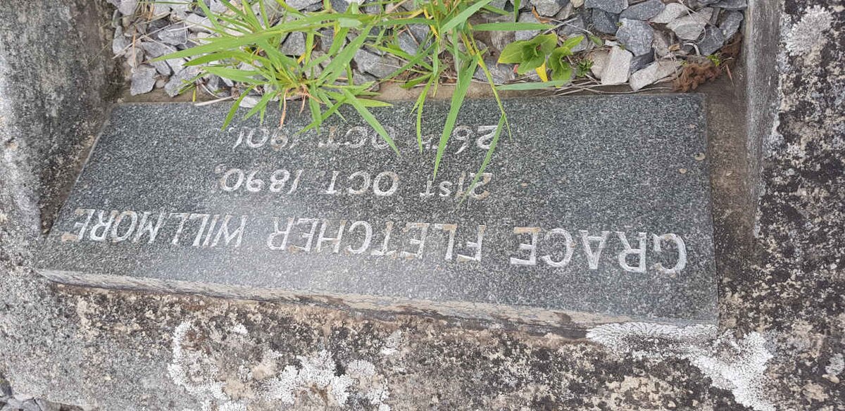 WILLMORE Grace Fletcher 1890-1901