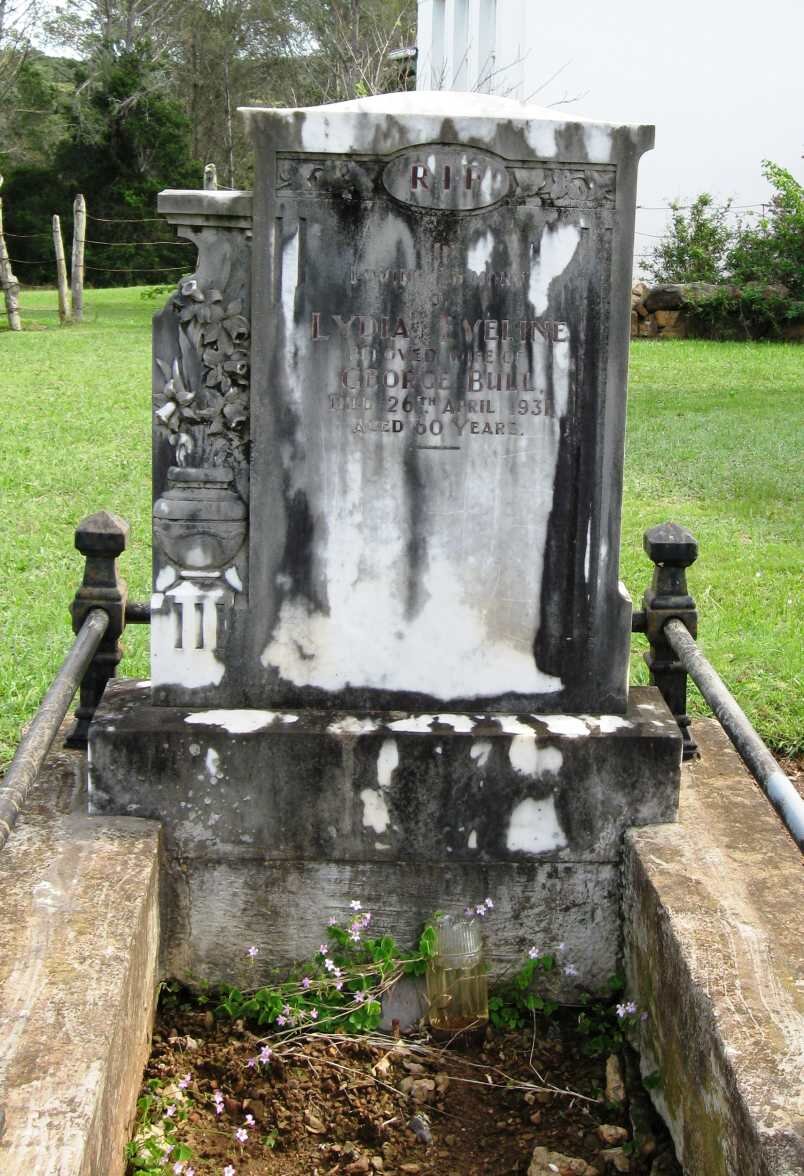 BULL Lydia Eveline -1931