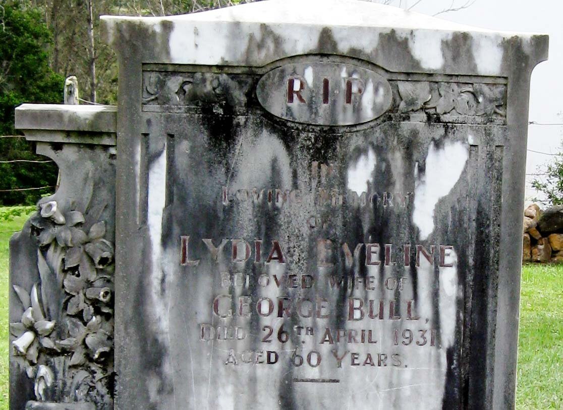 BULL Lydia Eveline -1931