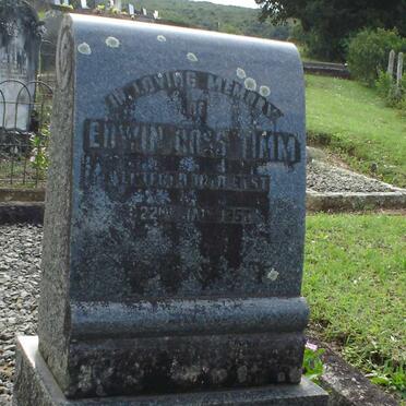 TIMM Edwin Ross -1960