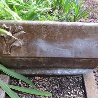 ARCHDEACON Amy Maud -1939