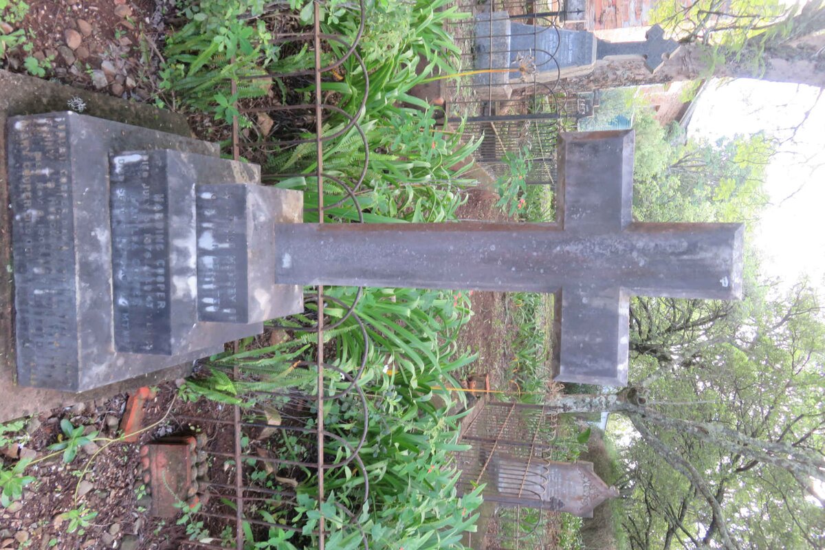 COOPER :: HODGKINSON